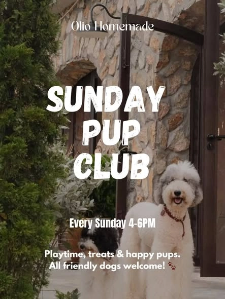 Sunday Dog Social