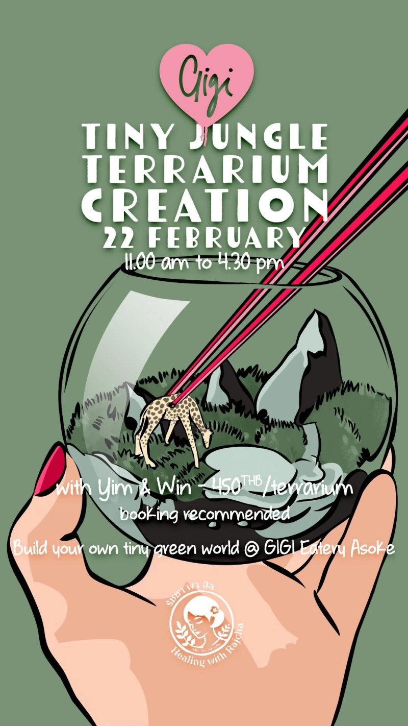 Tiny Jungle: Terrarium Creation