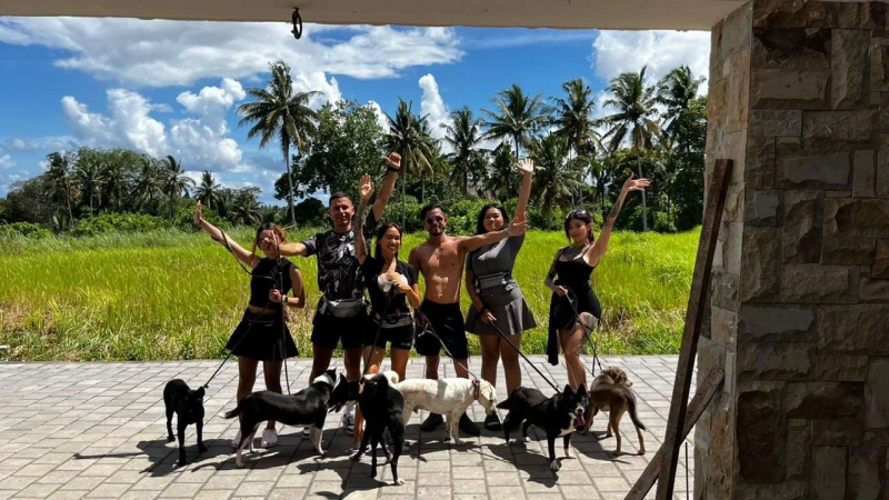 Jungle Walk with Dogs