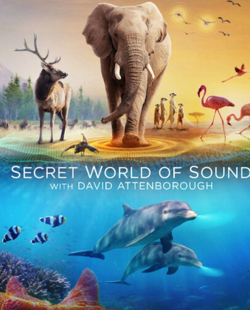 Secret World of Sound With David Attenborough (2024)