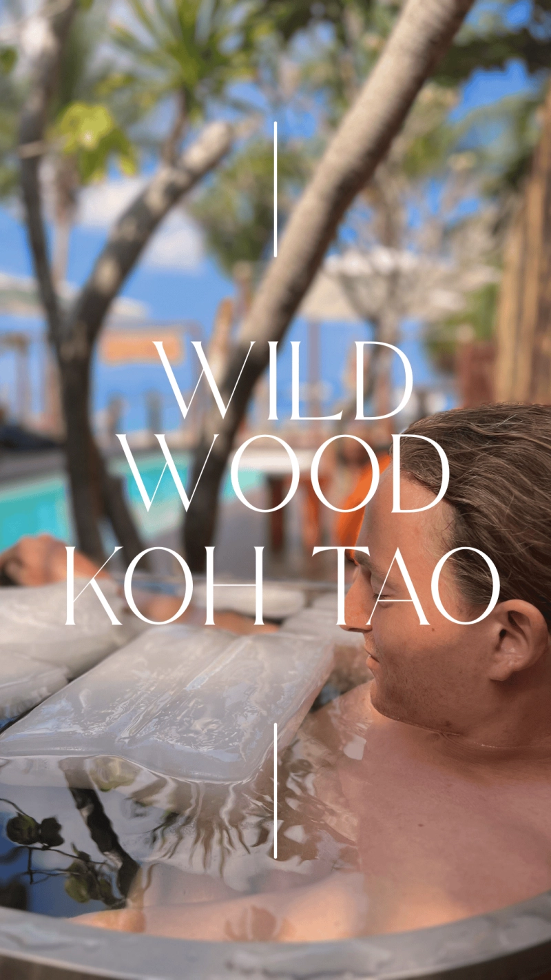 Vinyasa + Wellness Spa Pass