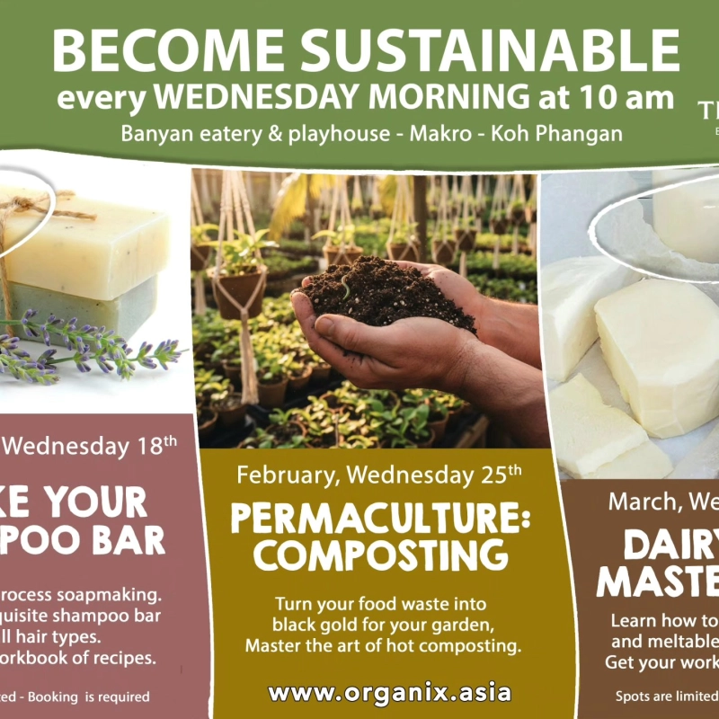 Permaculture: Food waste into compost