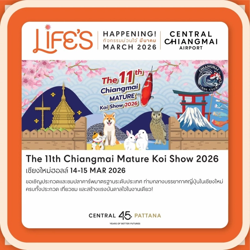 The 11th Chiang Mai Mature Koi Show