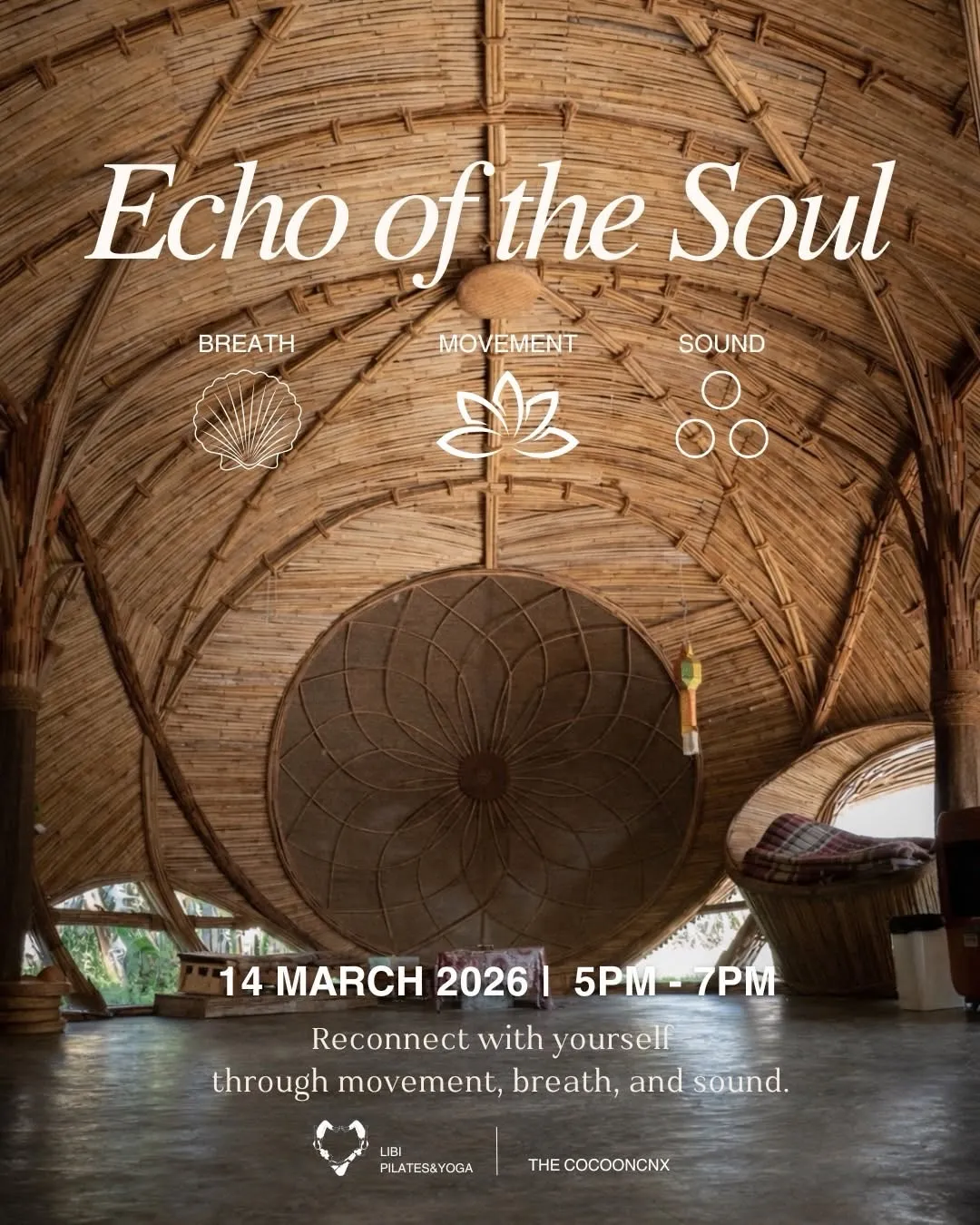 Echo Of The Soul