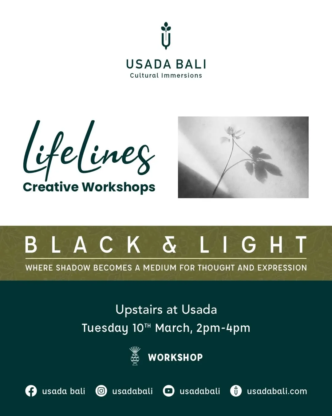 Lifelines Creative Workshop