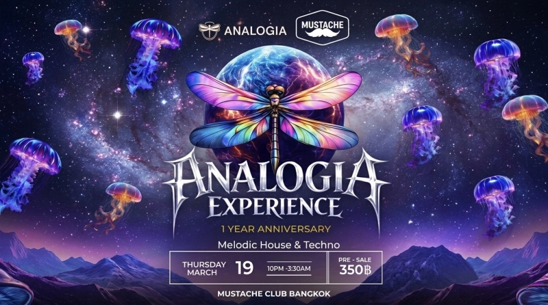 Analogia Experience - 1 Year Anniversary
