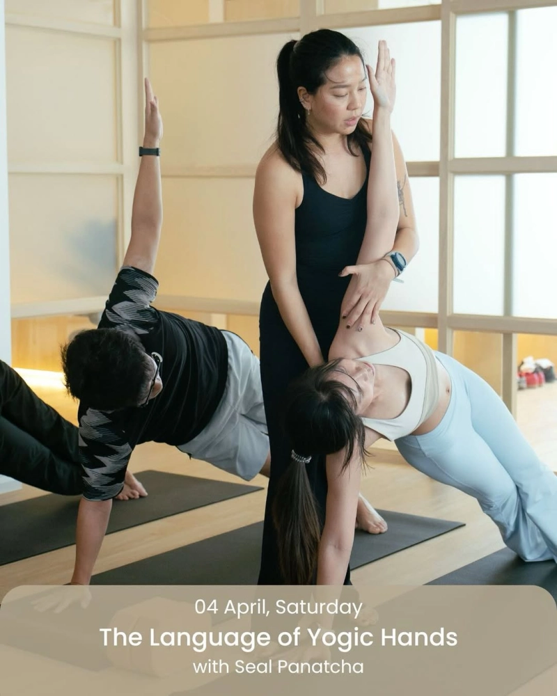 The Language Of Yogic Hands