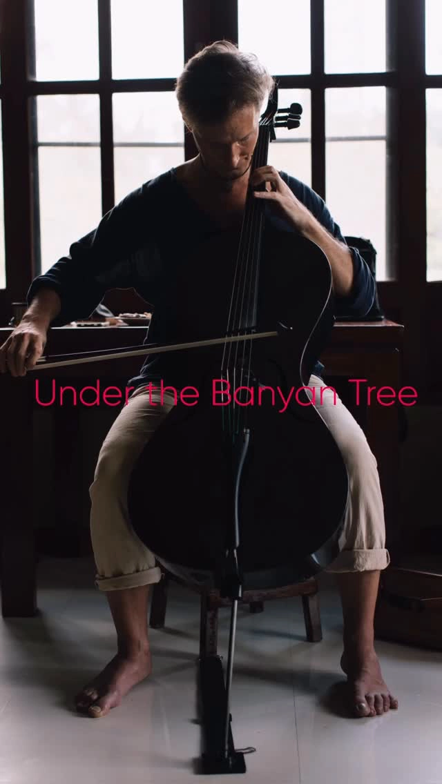 Live Cello Performance By Eugene Fed