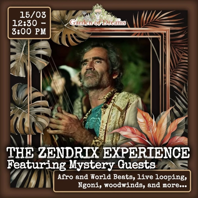 The Zendrix Experience