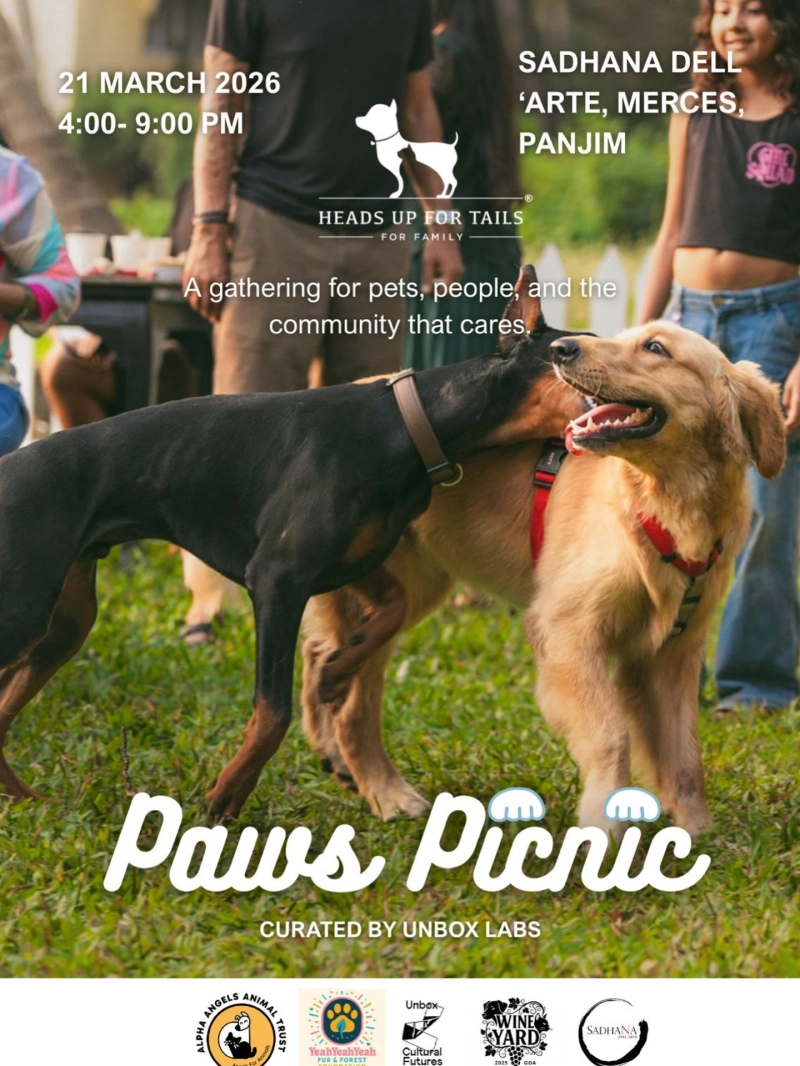 Paws Picnic