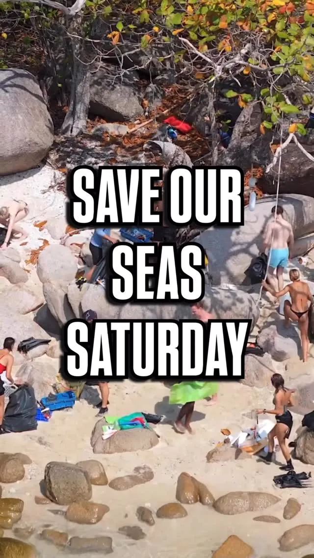 Save Our Seas