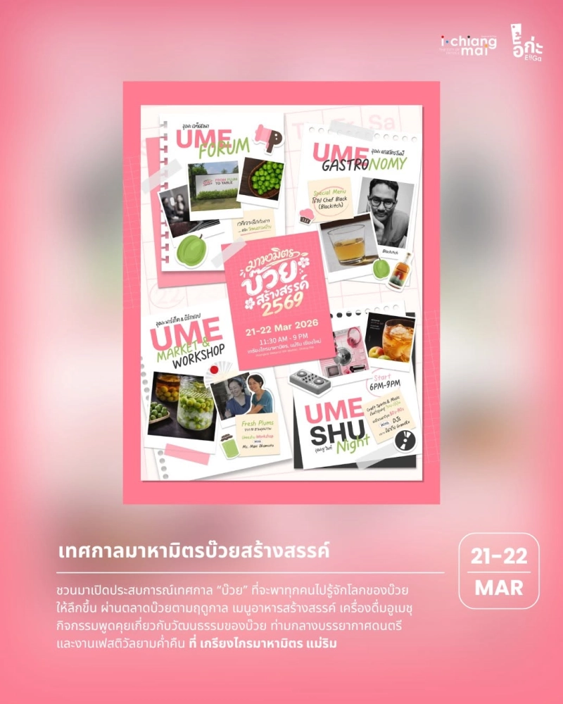 From Plum To Table 2026