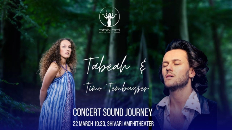 Concert Sound Journey