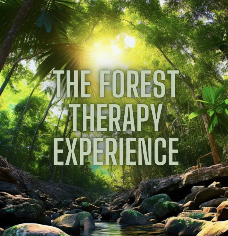 Forest Therapy Experience