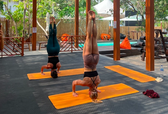 Yoga + Gym & Wellness Spa