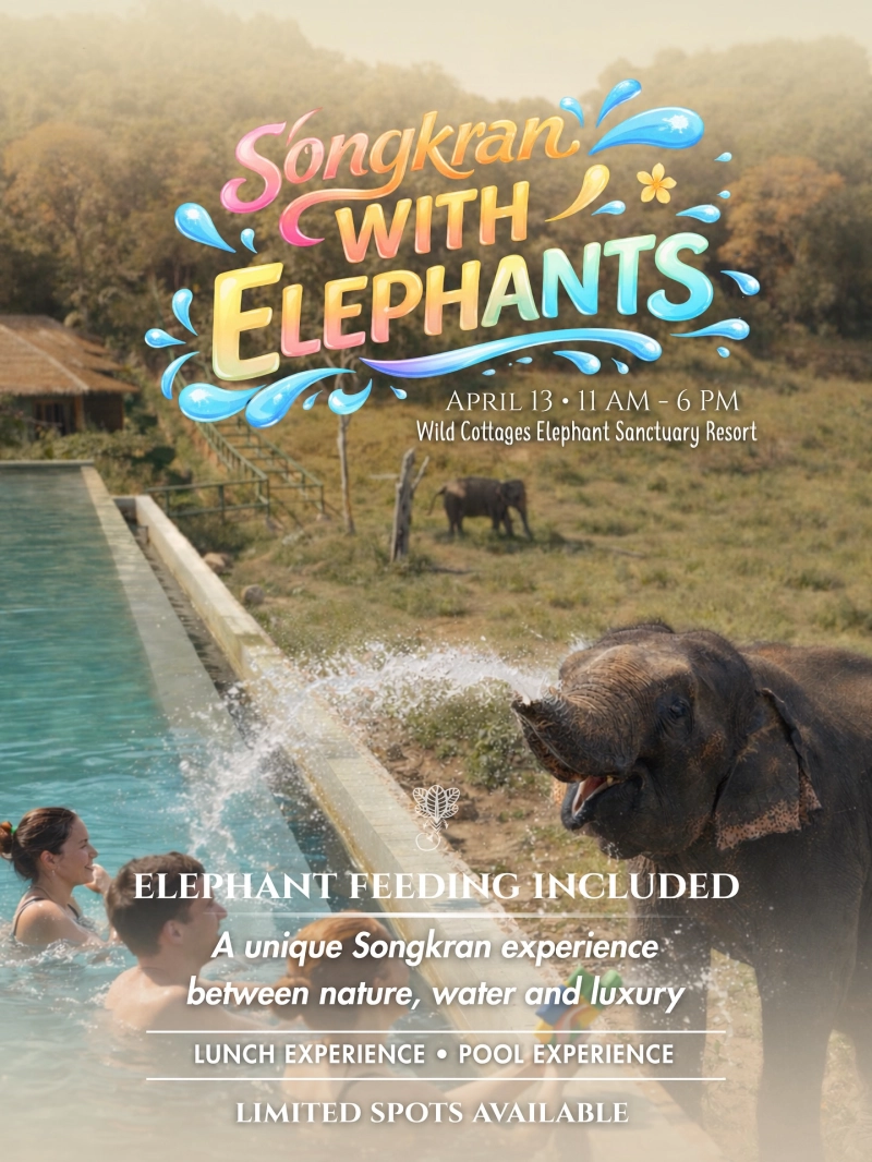 Songkran With Elephants