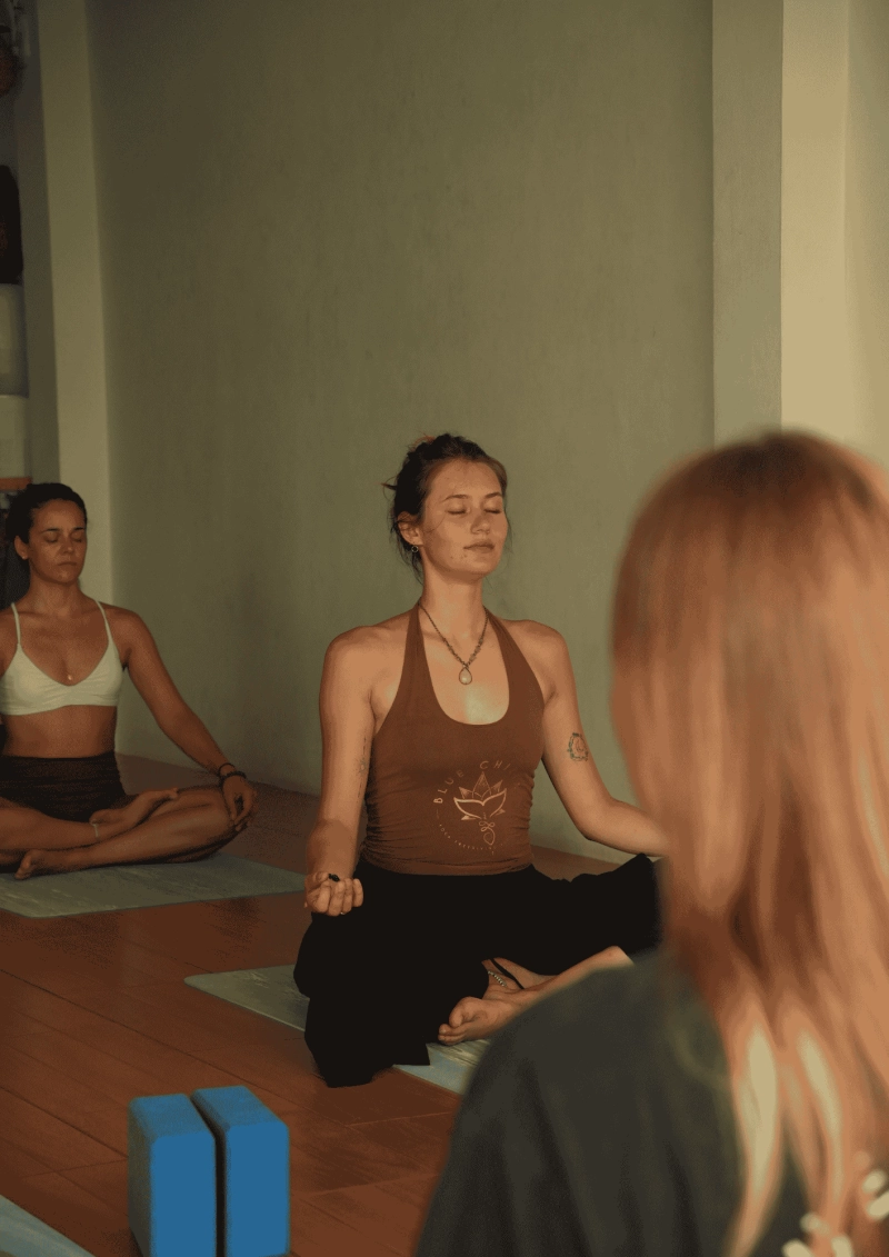 Nervous System Regulation