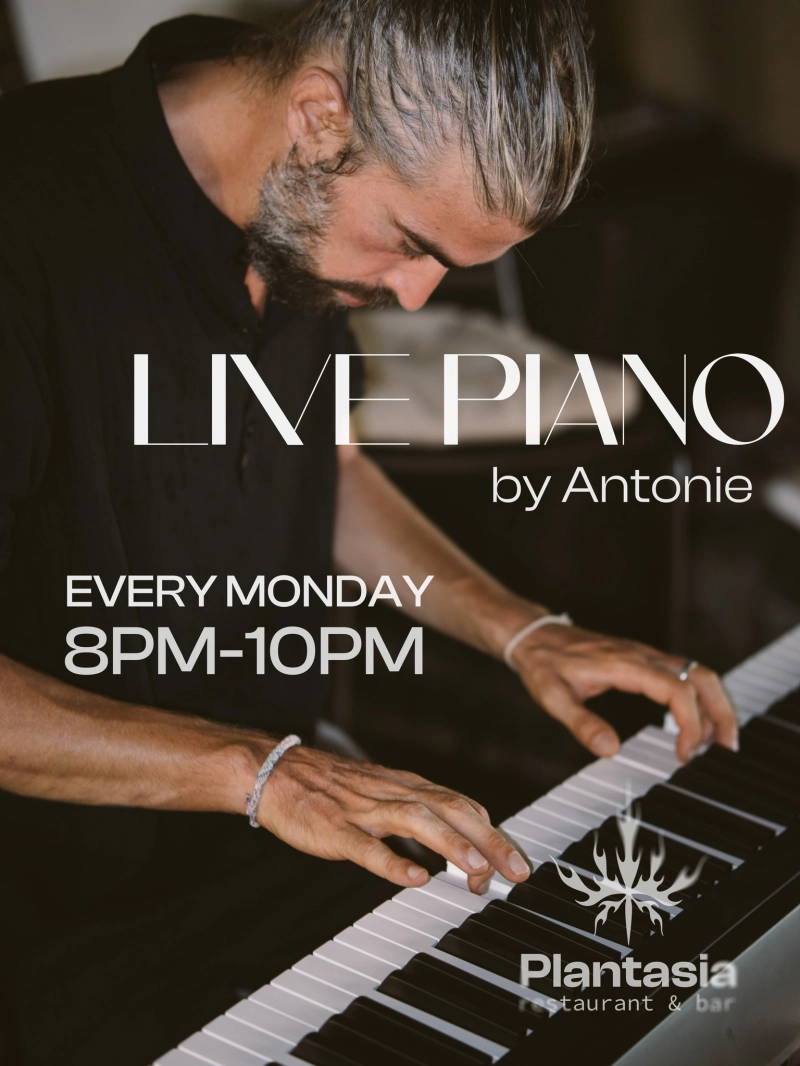 Live Piano By Antonie