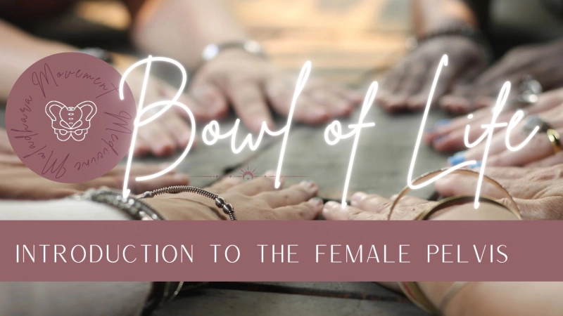 Bowl Of Life: Introduction To The Female Pelvis