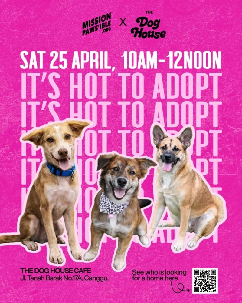 Adoption Event