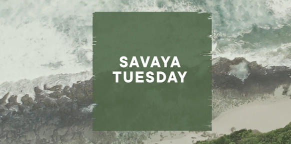 Savaya Tuesday