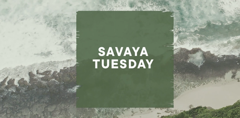 Savaya Tuesday