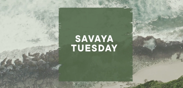 Savaya Tuesday