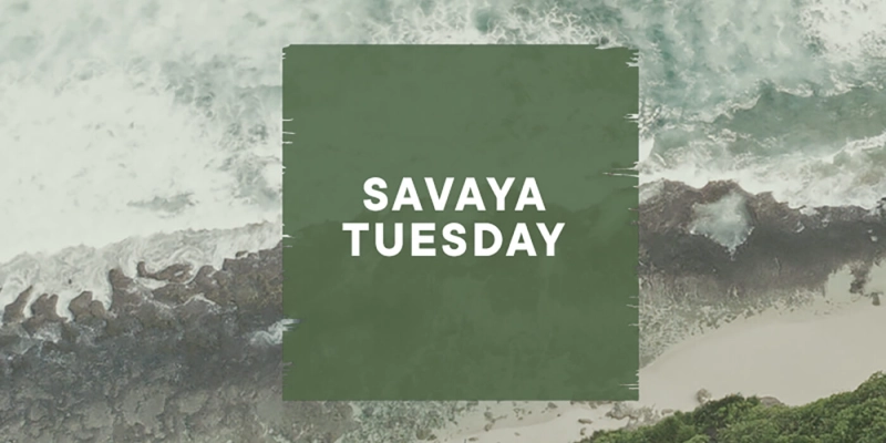 Savaya Tuesday