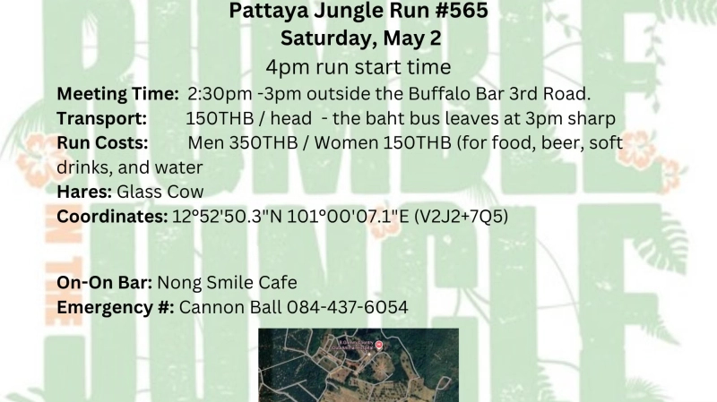 Run/Hike In The Jungle