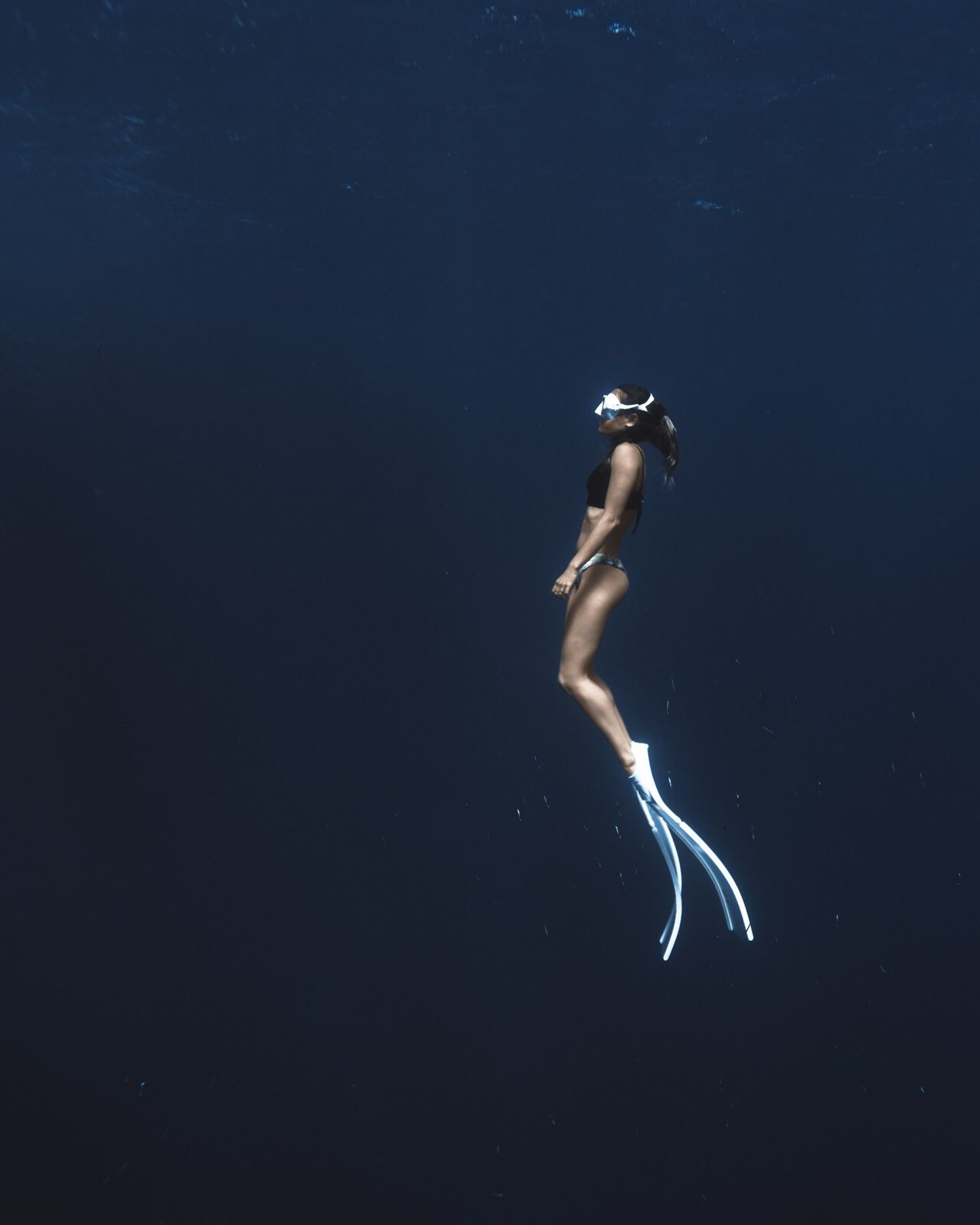 1 Day FreeDiving Discovery
