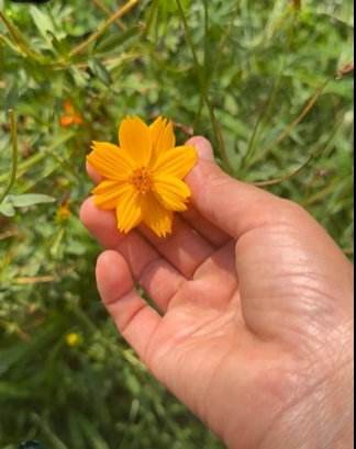 Mini Eco-Print Workshop