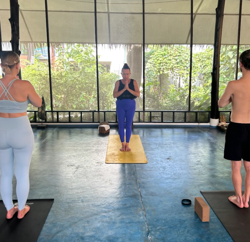 Dynamic  Vinyasa
