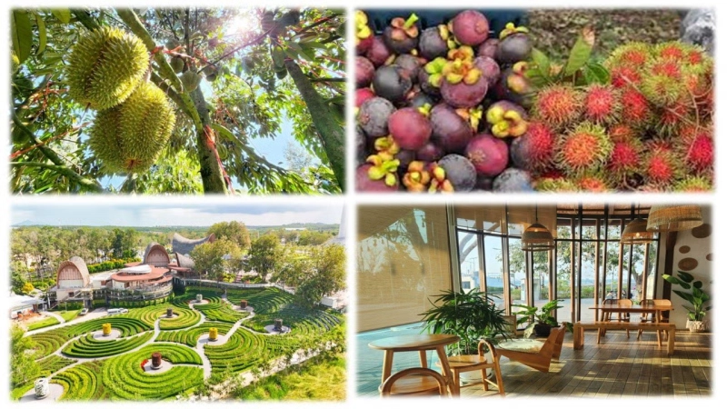 Durian, Mangosteen & Fruit Buffet Festival