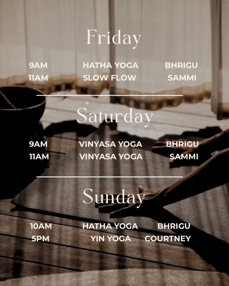 Vinyasa Yoga - BHRIGU