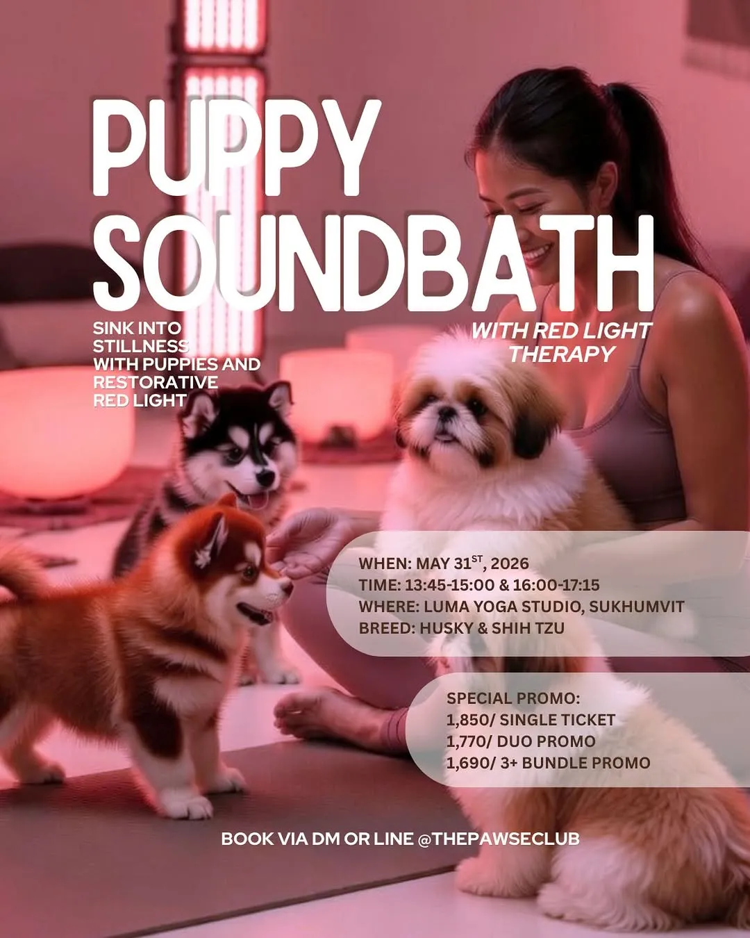 Puppy Sound Healing and Red Light Therapy
