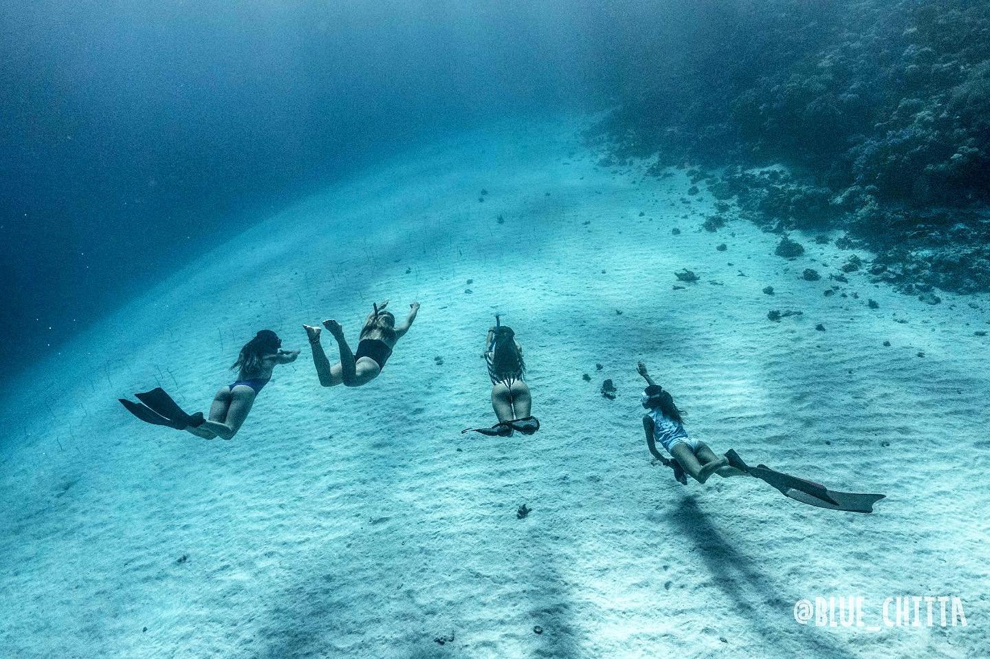 Reef Fun Dive