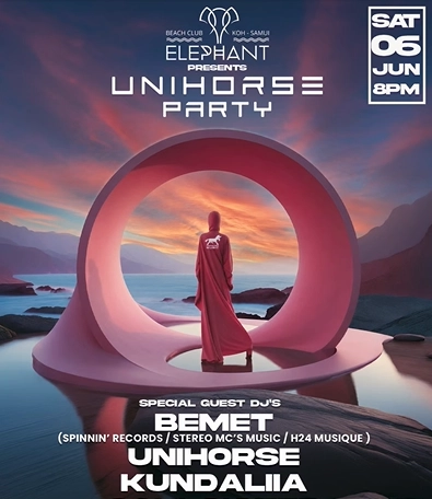 Unihorse Party