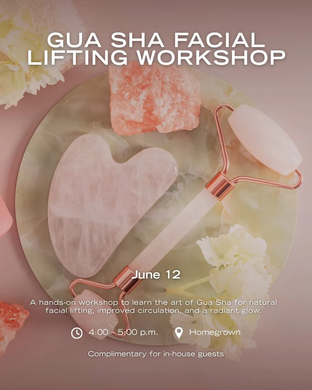 Gua Sha Facial Lifting Workshop