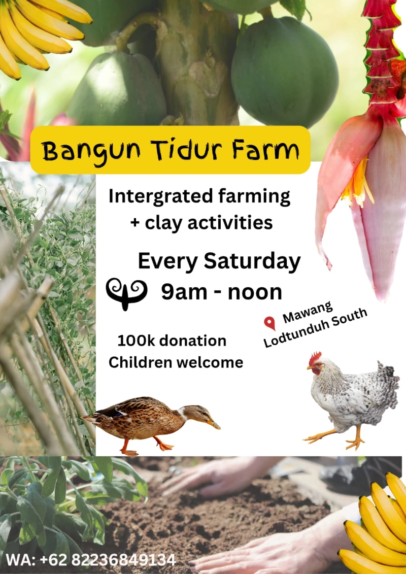 Bangun Tidur Farm - Community Garden and workshops