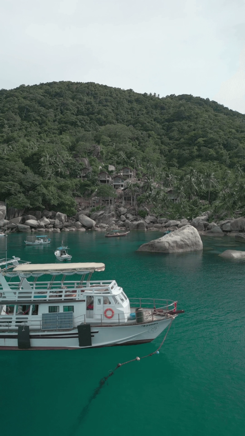 Full Moon Boat Trip