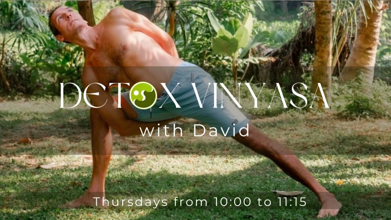Detox Vinyasa with David