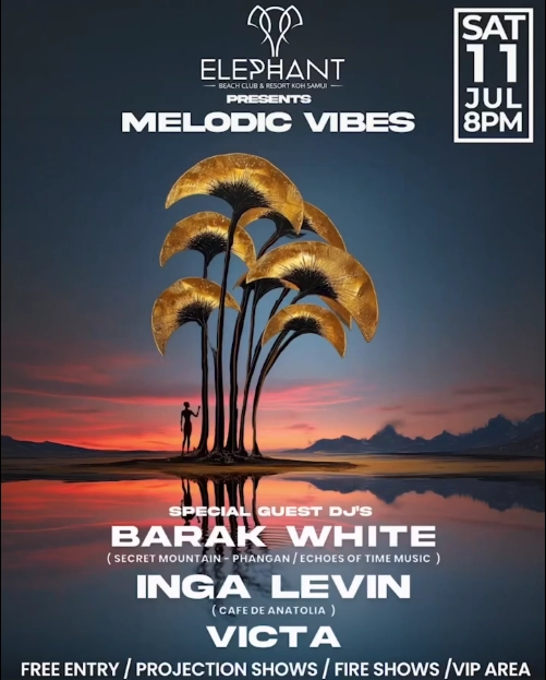 Melodic Vibes