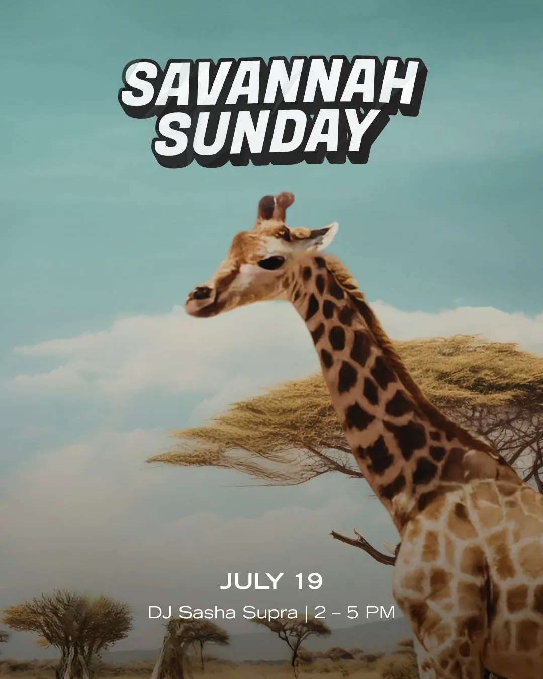 Savannah Sunday