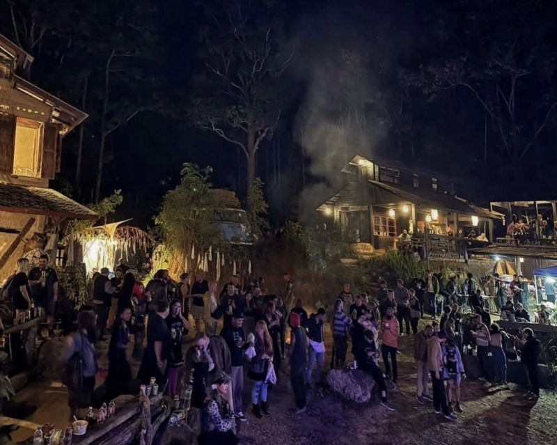 Tiger Jungle Art Camp