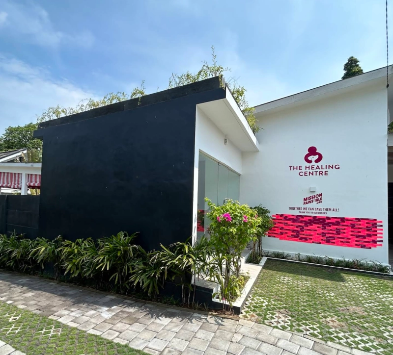 Mission Paws'ible shelter