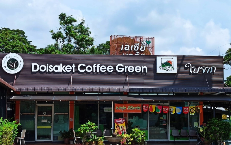 Doisaket Coffee Green