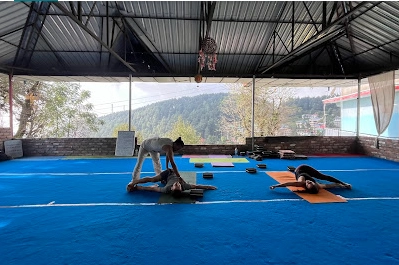 Kunal Yoga School