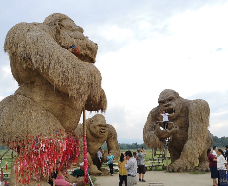 Huai Tueng Thao Coffee