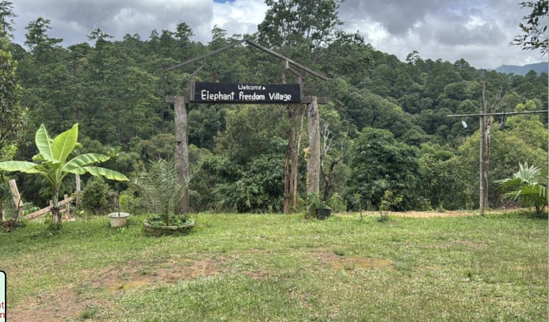 Elephant Freedom Village