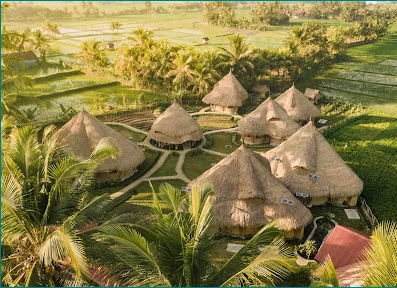 Mana Earthly Paradise